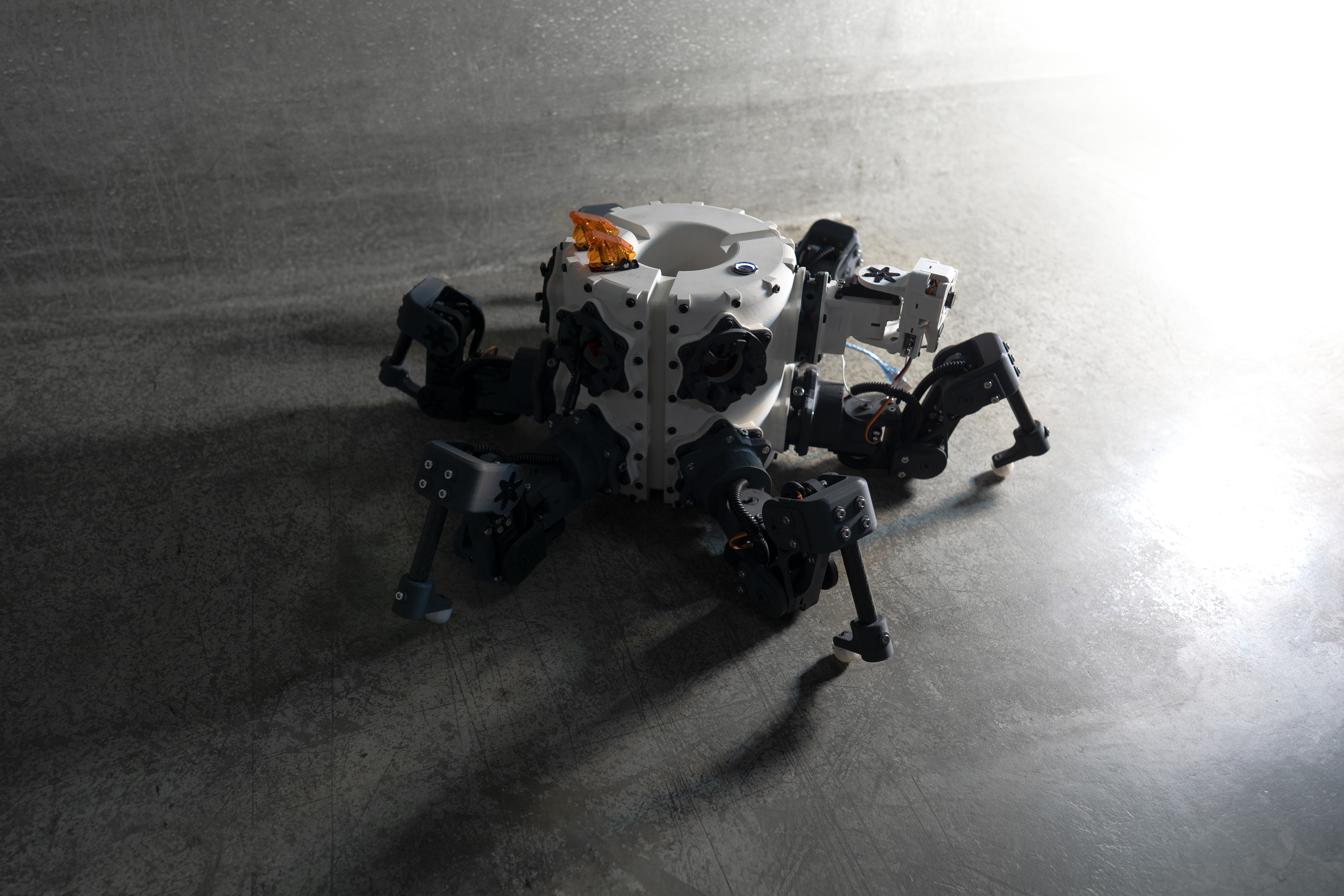 Hexapod robot for challenging terrain